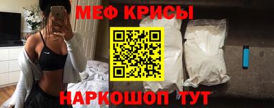 стафф Кингисепп