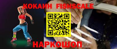 стафф Кингисепп