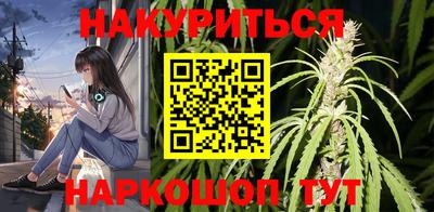стафф Кингисепп