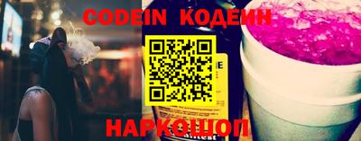 стафф Кингисепп