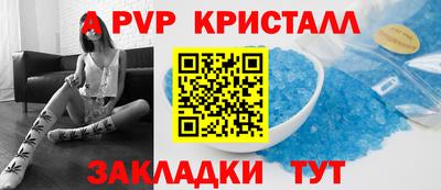 стафф Кингисепп