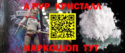 стафф Кингисепп