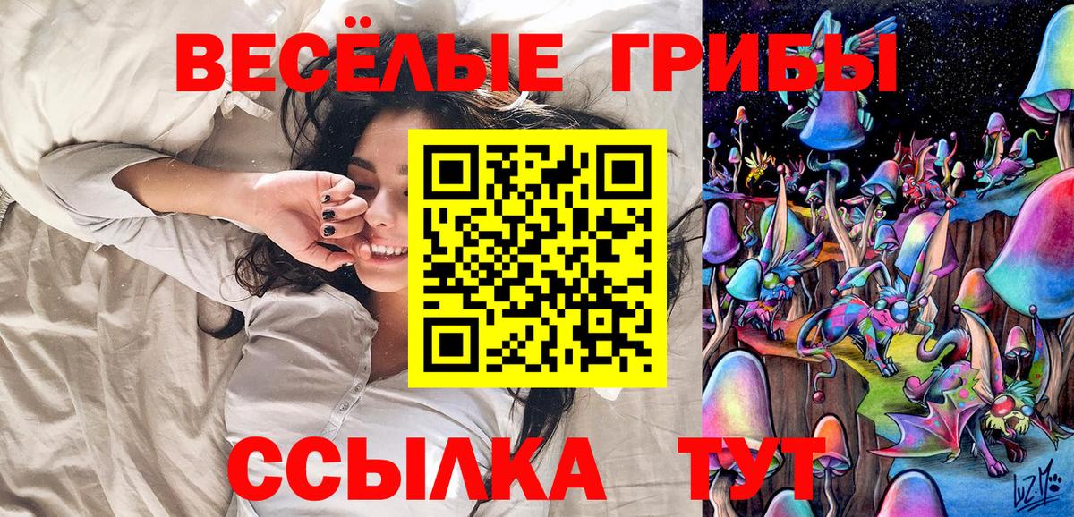 Псилоцибиновые грибы Коммунар