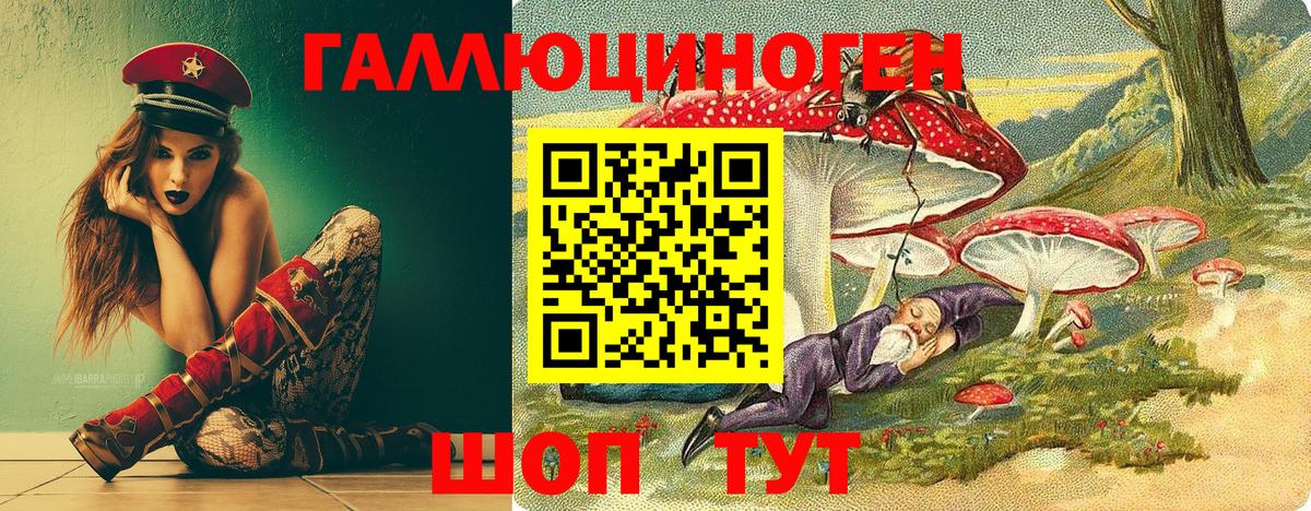 Галлюциногенные грибы GOLDEN TEACHER  даркнет сайт  Коммунар  Вход с VPN 